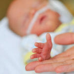 Baby And Parent Touching Hands