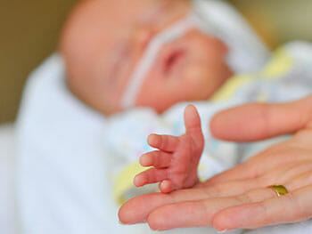 Baby And Parent Touching Hands